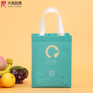 All Color Printed Cangnan Biodegradable Reusable Ultrasonic Laminated Pp Non Woven Shopping Bag