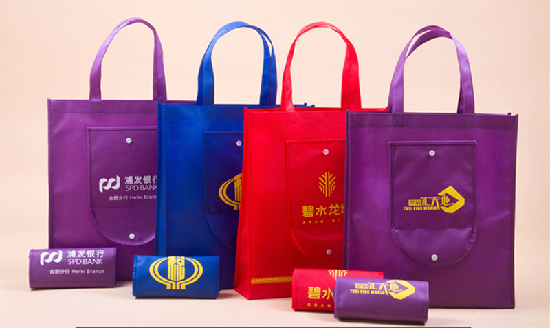 Wholesale Low Price Supplier Folding Non Woven Fabric Carry Bag