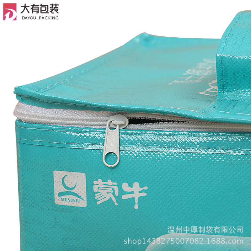 Customized Thermal Insulation Beer Bottle 12 Can insulated Cooler Bag